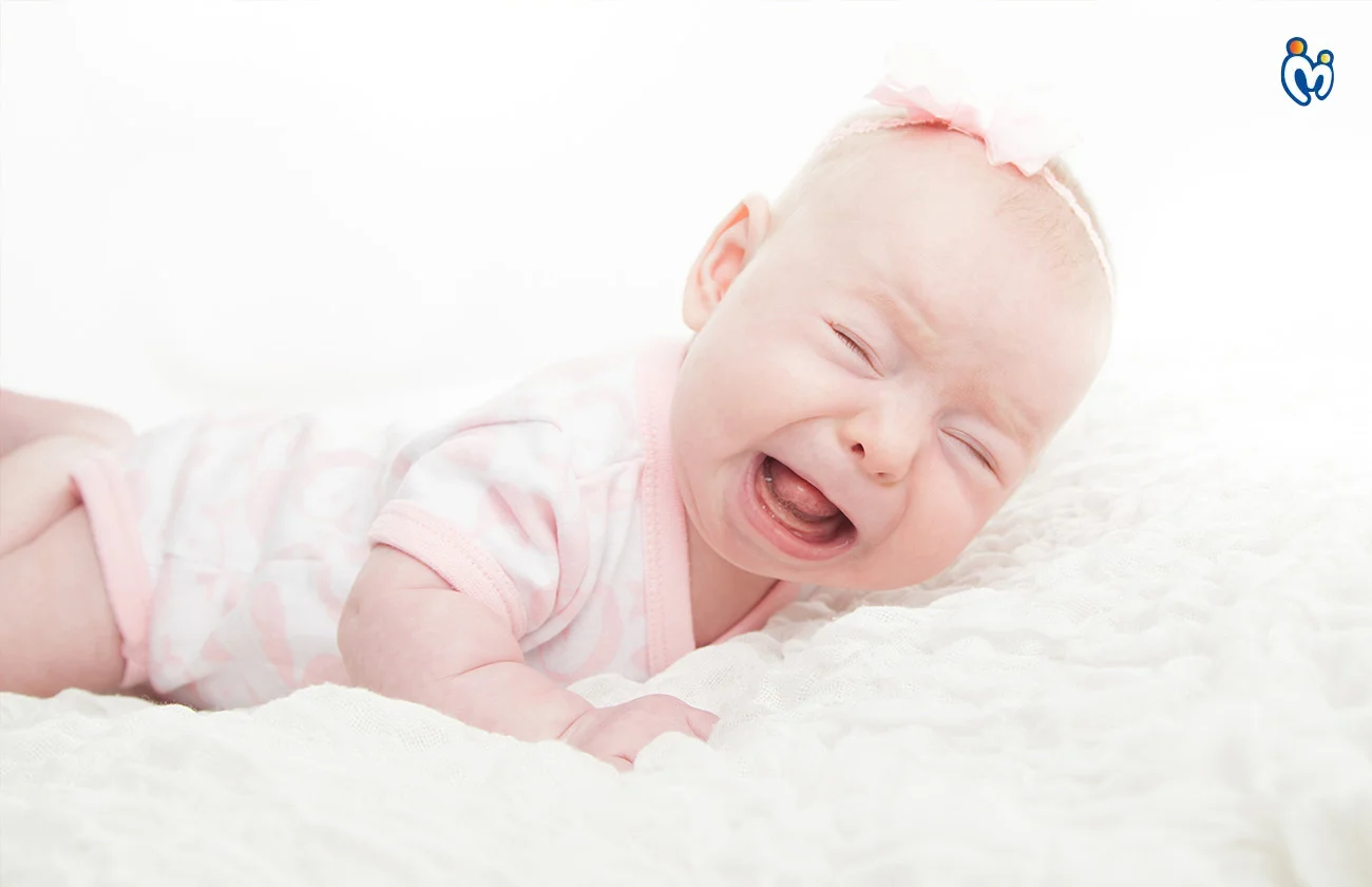 Faqs And Solutions 1737979506812