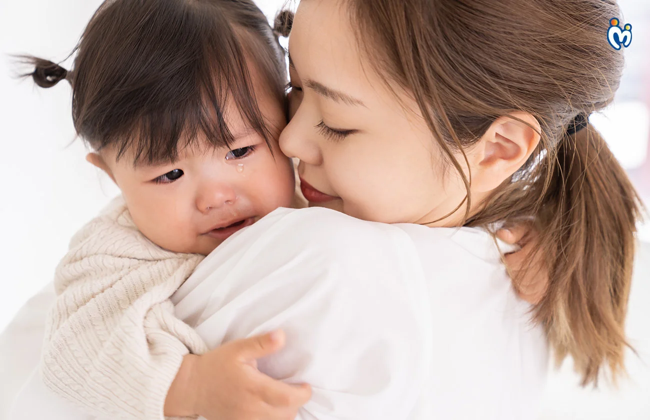 Part 5 The Heart Of It All 1749446949465