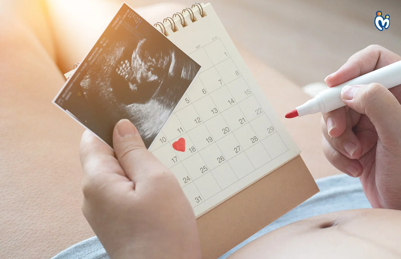 Pregnancy Sample Birth Plan Structure 1764738489944