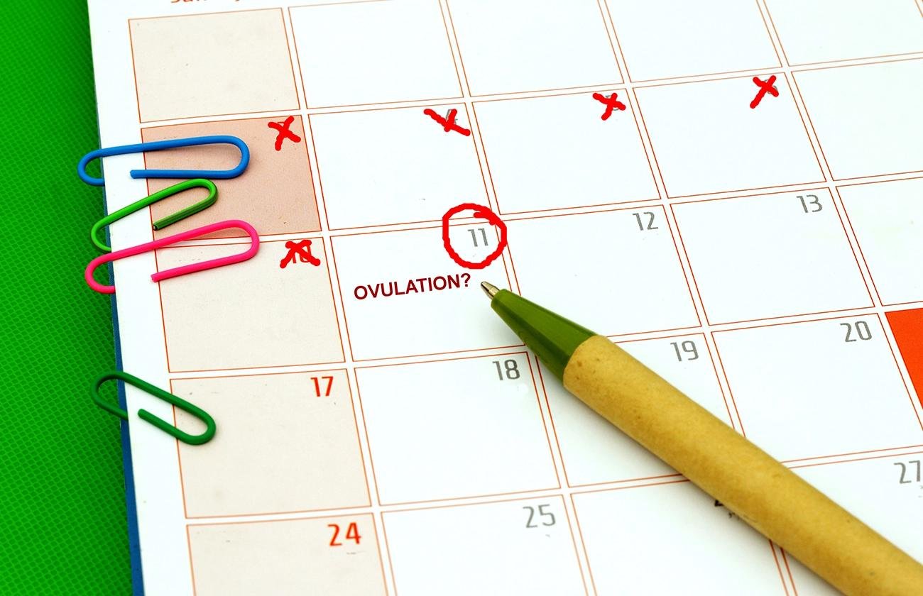 5 Tips to Figure Out Your Fertile Window